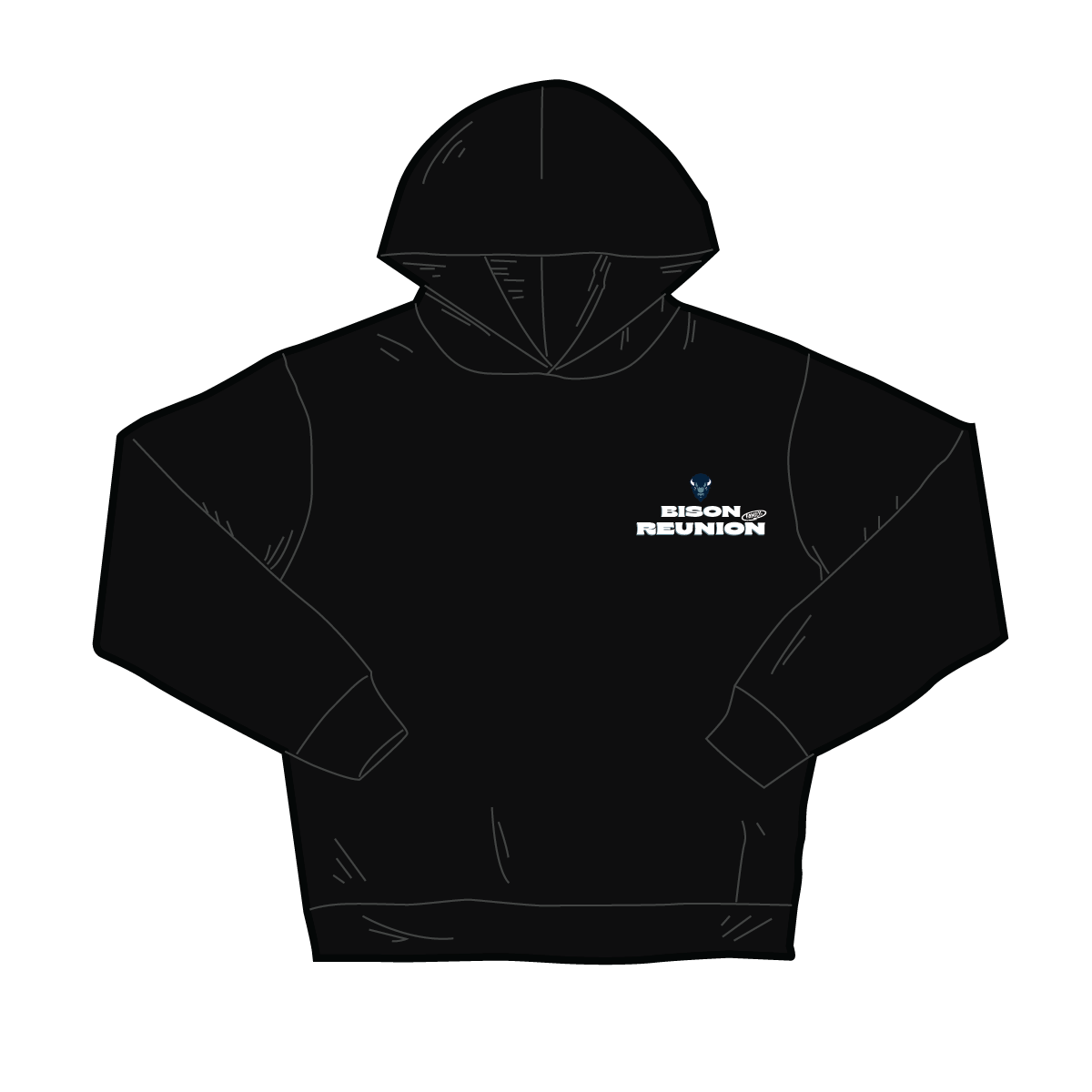 Bison Family Reunion Tee Hoodie