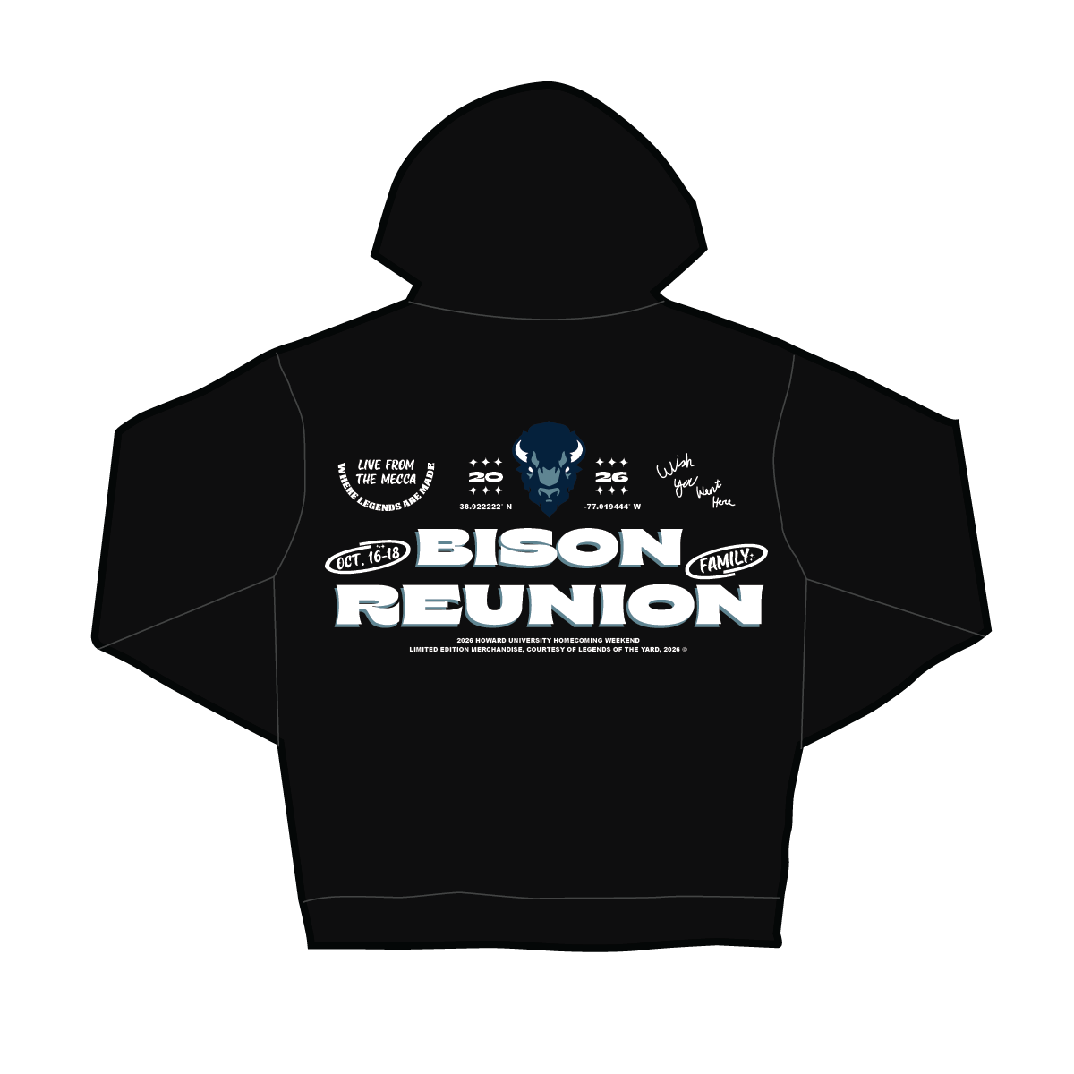 Bison Family Reunion Tee Hoodie